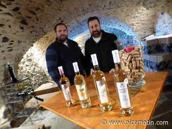 Médailles en cascade au Domaine Bertaud Belieu dans le Golfe de Saint-Tropez