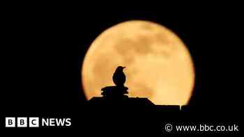 Full moon: Photographers capture 'worm moon' over Yorkshire and Lincolnshire