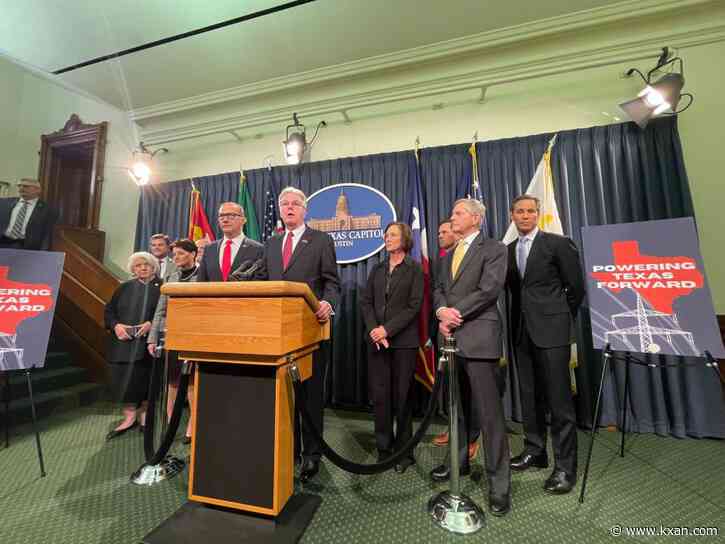 Senators unveil energy insurance program among plans to revamp power grid