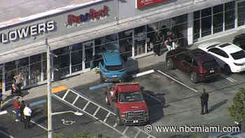 Car Crashes Into Pet Grooming Business in Hallandale Beach