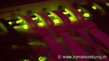 SAP-Rivale Oracle erhöht Umsatz stark - Anleger dennoch enttäuscht