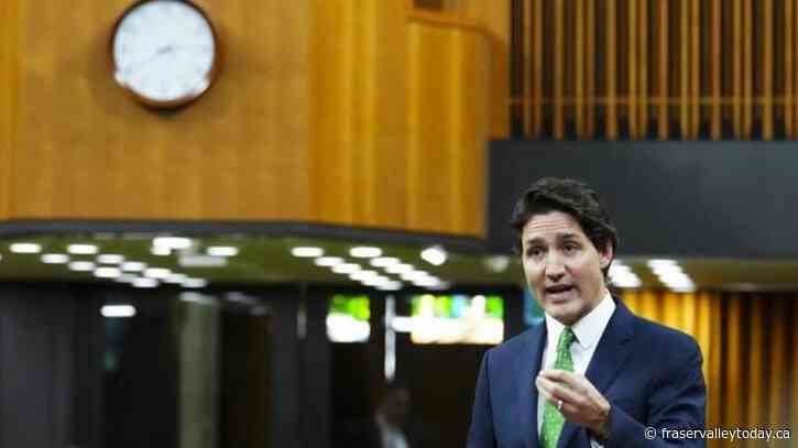 Canadians can experience several means of foreign interference: expert