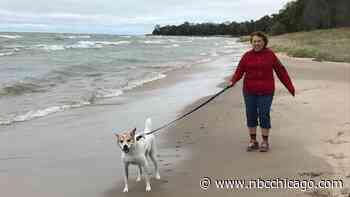 A Naperville Woman's Heart Started Racing While Walking. A Year Later, Her Diagnosis Was Unexpected