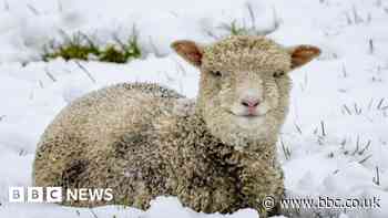 Northern Ireland weather: Heavy snowfall in some counties