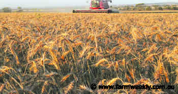 AEGIC positioning overseas market to adopt WA's soft wheat