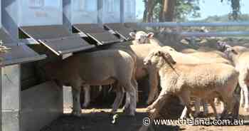 Get more feet on the ground