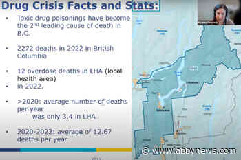 Interior Health calls for pause on Sicamous bylaw prohibiting public use of illicit drugs
