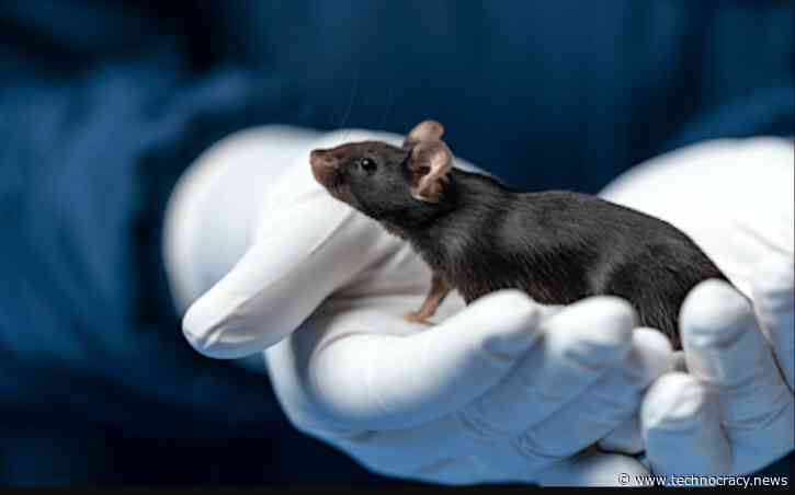Transhumanist Scientists Create Mice With ‘Two Dads’