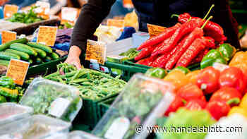 Geldpolitik: Bestätigt: Inflationsrate verharrt bei 8,7 Prozent – Nahrungsmittel besonders teuer