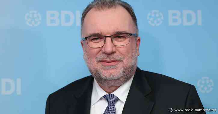 BDI-Präsident: Deutschland braucht langfristigere Strategie