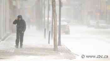 Heavy snow, strong winds expected from weekend storm in south Sask.