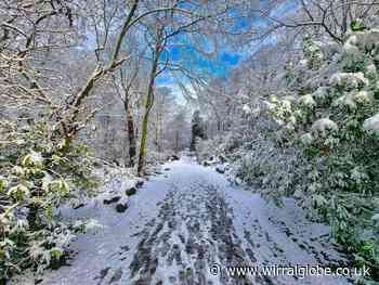 Your snowy pictures from a cold and wintry Wirral