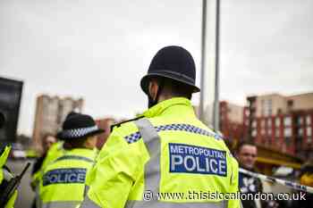Belvedere woman and boys found dead in house: Live updates
