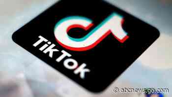 TikTok renews push to ease fears over European data security