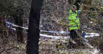 Morpeth 'human bones' discovery LIVE: Updates as police cordon off wooded area
