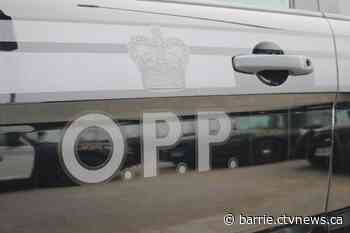 Police want to identify suspected shoplifter in Chatsworth Township