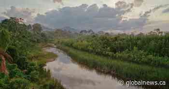 Alberta wildfire experts in Bolivia to help with fire training, prevention