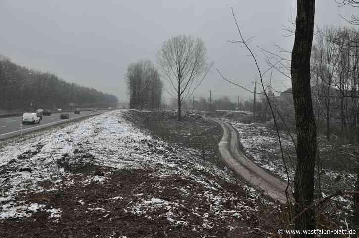 Biologe: „So behandelt man keinen Wald!“