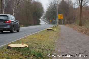 Espelkamp: Ab Mai wird die General-Bishop-Straße erneuert