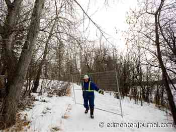Edmonton weather: City set to deactivate extreme weather response Saturday
