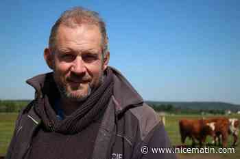 La Fondation Bardot va recueillir 400 bovins saisis chez un ex-candidat de L’Amour est dans le pré