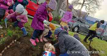 Landkreis Lichtenfels blüht: "Naturkinder" und Gartenbauvereine setzten 14.000 Zwiebeln