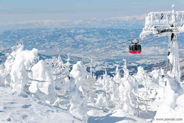 Skier Makes the Case for Heading to Japan Instead of the Alps