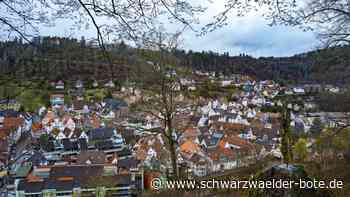 Firma plant Ausbau: Hat ganz Calw 2025 Glasfaser im Haus?