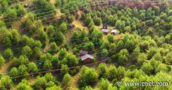 FCC Grants $66 Million to Boost Awareness of Affordable Broadband Program     - CNET