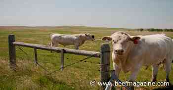 Don't wait! Schedule your early breeding soundness exams