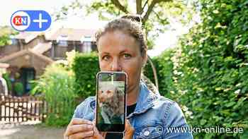 Amtsgericht Kiel verurteilt Halter von Hund Paul wegen Tierquälerei