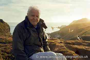 BBC cancels Sir David Attenborough episode over Tory backlash