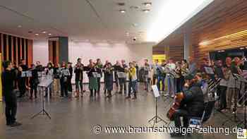 Mehrheit fürs Haus der Musik an Braunschweigs Vieweg-Garten