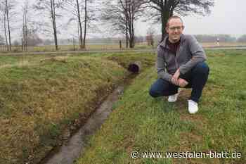 Von Neuordnung, Müllkippen und Gemeindebullen