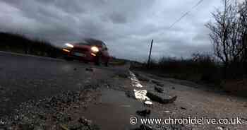 Northumberland councillor claims the county's roads are being 'destroyed' by utility companies