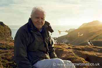 BBC cancels Sir David Attenborough episode over Tory backlash
