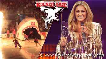 DEL-Play-offs: Vertreibt Fischer die Haie?