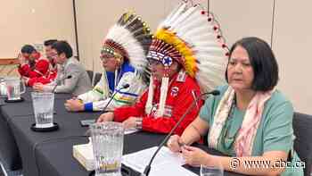 St. Theresa Point asks for privacy to grieve and bury 2 teens found dead in Manitoba First Nation