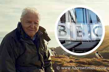 BBC says there is no 6th episode of David Attenborough's Wild Isles