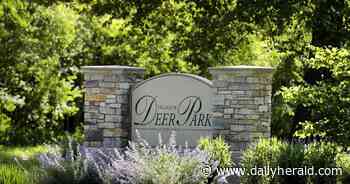 Energy conservation, tax revenue among priorites for Deer Park trustee candidates