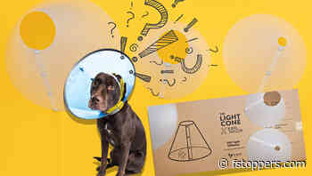 We Review the V-Flat Karl Taylor Light Cone