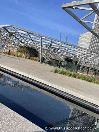 The Garden at 120: A Review, Zara Shikder, Parmiter's School