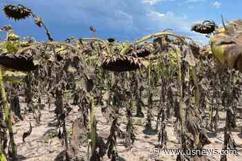Historic Drought in Argentina Seen Shrinking GDP by 3 Points