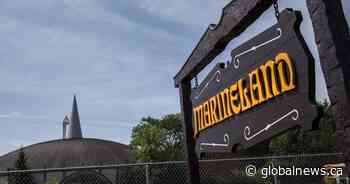 Kiska, Marineland’s lone killer whale and last captive orca in Canada, has died