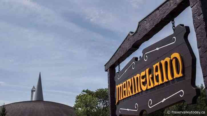 Kiska, Marineland’s lone killer whale and last captive orca in Canada, has died