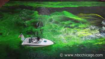 How to Watch the Chicago River Dyeing Live In Person or Virtually on Saturday
