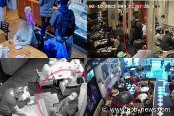 VIDEO: Police look for suspect behind string of purse thefts