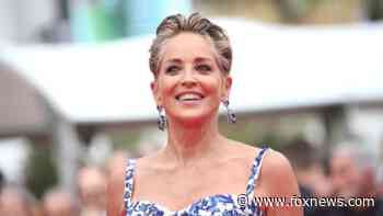 Timeless beauty, 'Basic Instinct' star Sharon Stone stuns in films, on red carpet