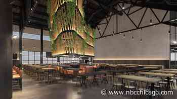 Guinness to Open Brewery and Taproom in Chicago's Fulton Market Neighborhood