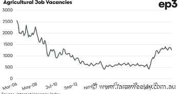 There are plenty of jobs out there